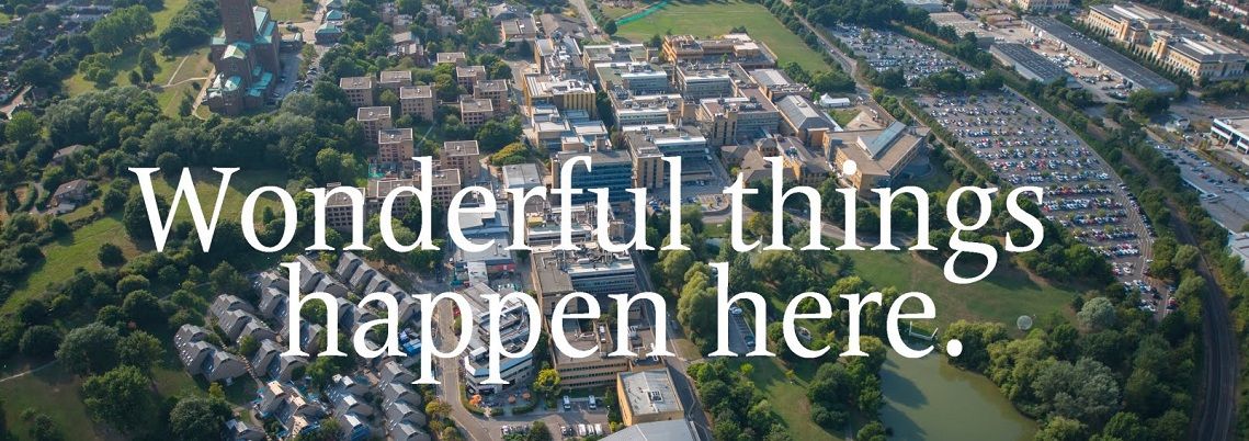 Lisa from Moscow about the job in London and studying in University of Surrey
