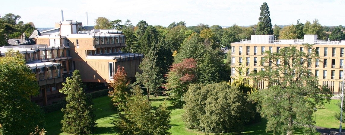 University of Reading continues to rise in the rankings