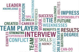 The most popular and promising profession in the Netherlands