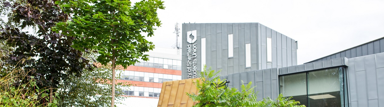 University of Sheffield